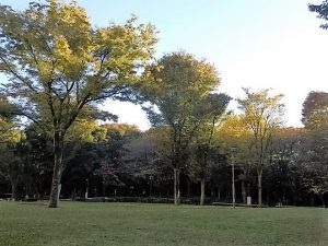 新宿中央公園２